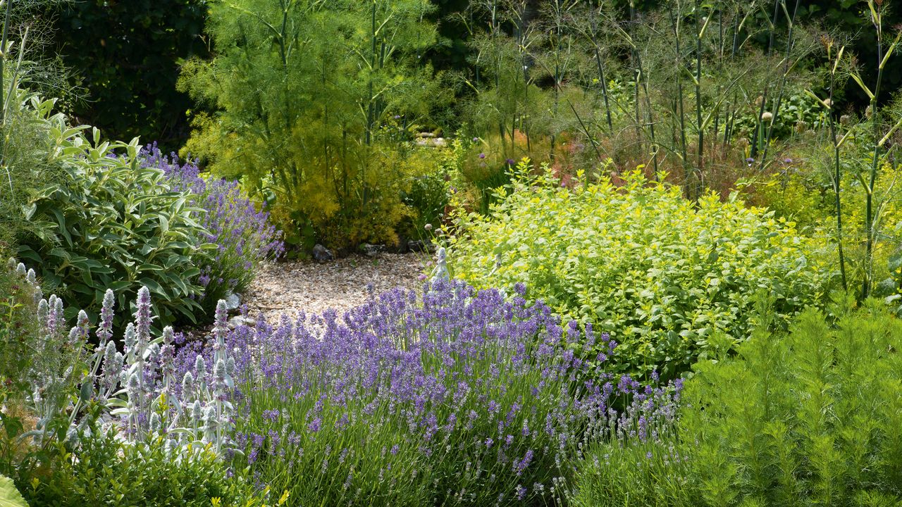 Garden with planted beds