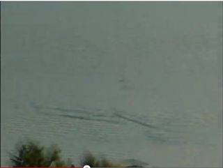 A still from Richard Huls' 2011 video, which he claims shows Ogopogo, Canada's Loch Ness monster.