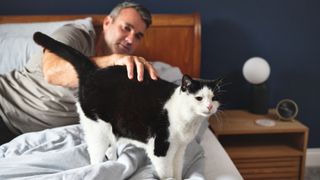 Man stroking black and white cat in bed