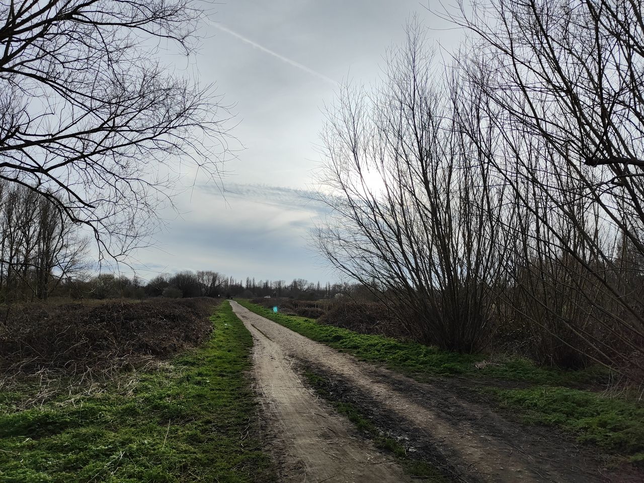A Realme GT 2 camera sample