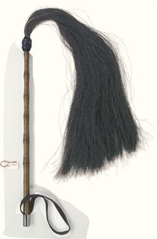 Whip.jpg