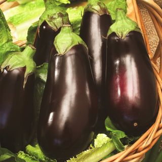 Eggplant, Black Beauty Heirloom Seeds