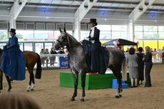 Aintree-side-saddle.jpg