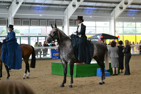 Aintree-side-saddle.jpg