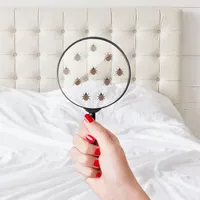 Bed bugs vs dust mites: Which pest is living in your mattress?