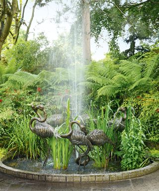 Tropical garden with water feature and ferns