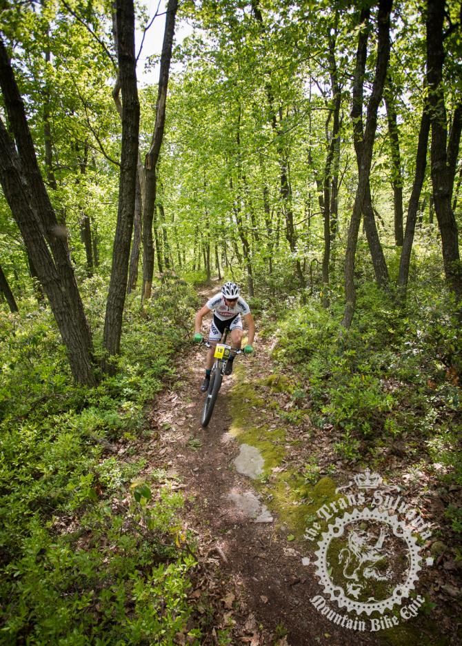Phil Grove on stage 2 in Rothrock Forest