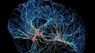 Illustration of a network of neurons with glowing connections against a black background
