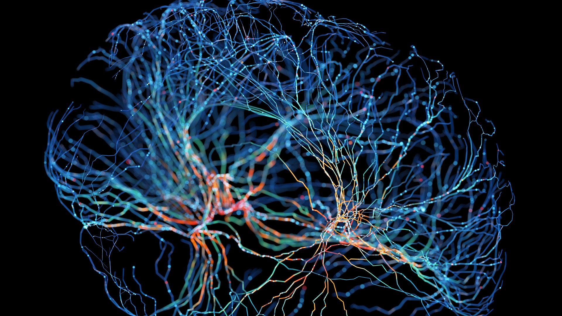 Illustration of a network of neurons with glowing connections against a black background