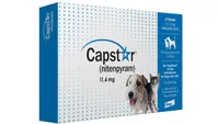 Capstar Flea Oral Treatment for Dogs pack shot