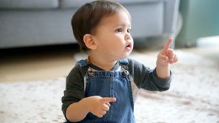 A toddler points his index finger