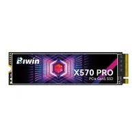 Biwin Black Opal X570 ProPC Gamer score: 73%
