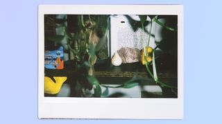 A photo of a little teardrop trinket sitting amongst other items on a shelf, taken on a Fujifilm Instax Wide 400 instant camera