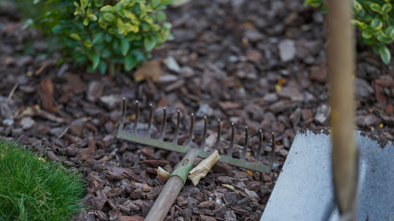 garden bed with mulch