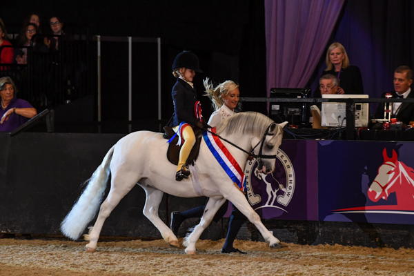 Pony_HOYS_PN17_106248.jpg
