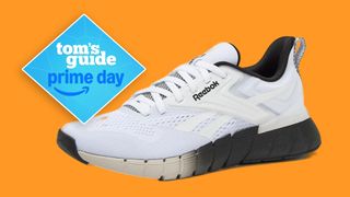 Reebok Nano gym shoe