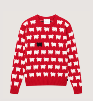 The iconic sheep sweater worn by Princess Diana