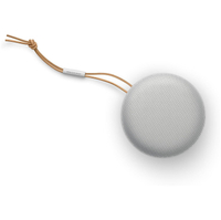 Bang & Olufsen Beosound A1 (2nd Generation)
