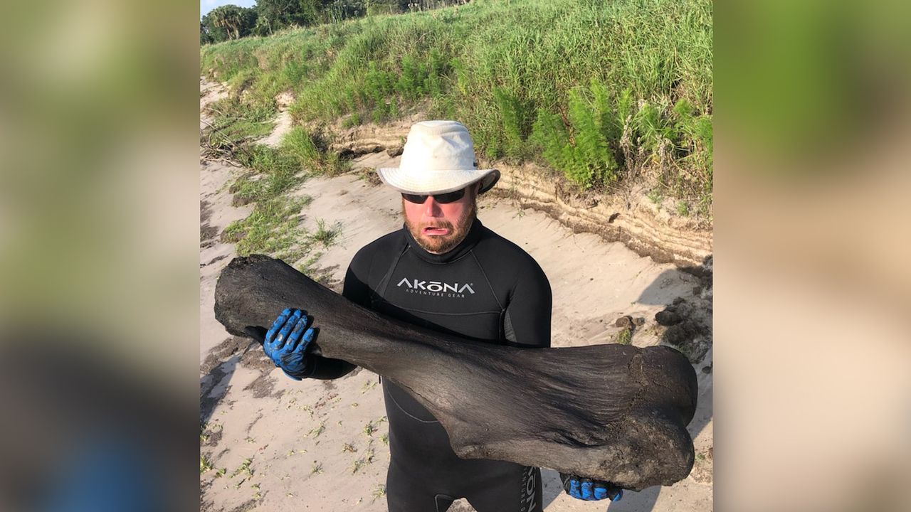 Derek Demeter and Henry Sadler discovered the enormous bone from an Ice Age mammoth while diving in Peace River in Florida.