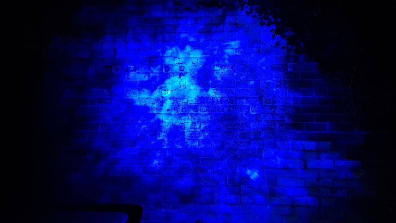 Blisslights Oblivia