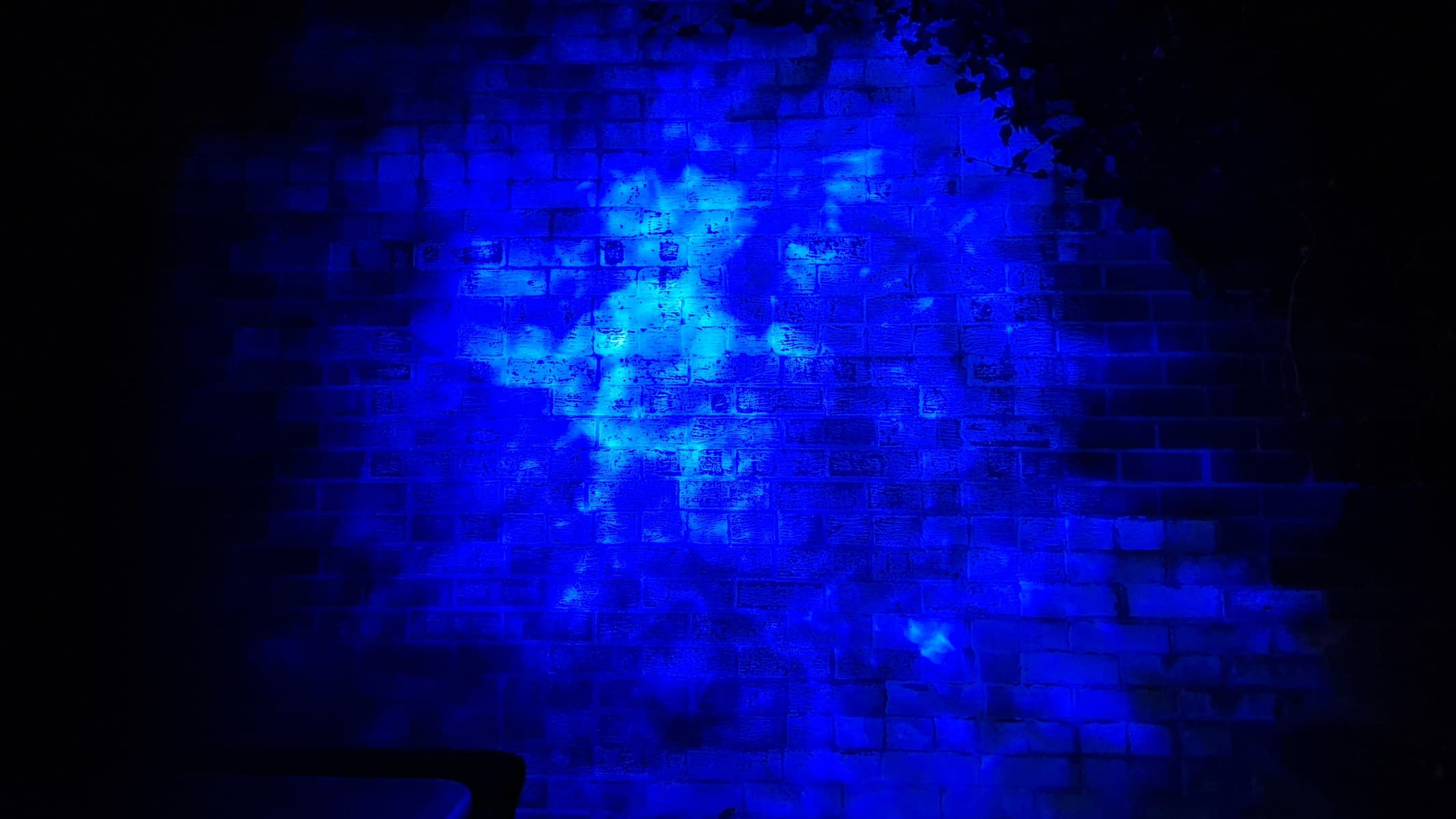 Blisslights Oblivia