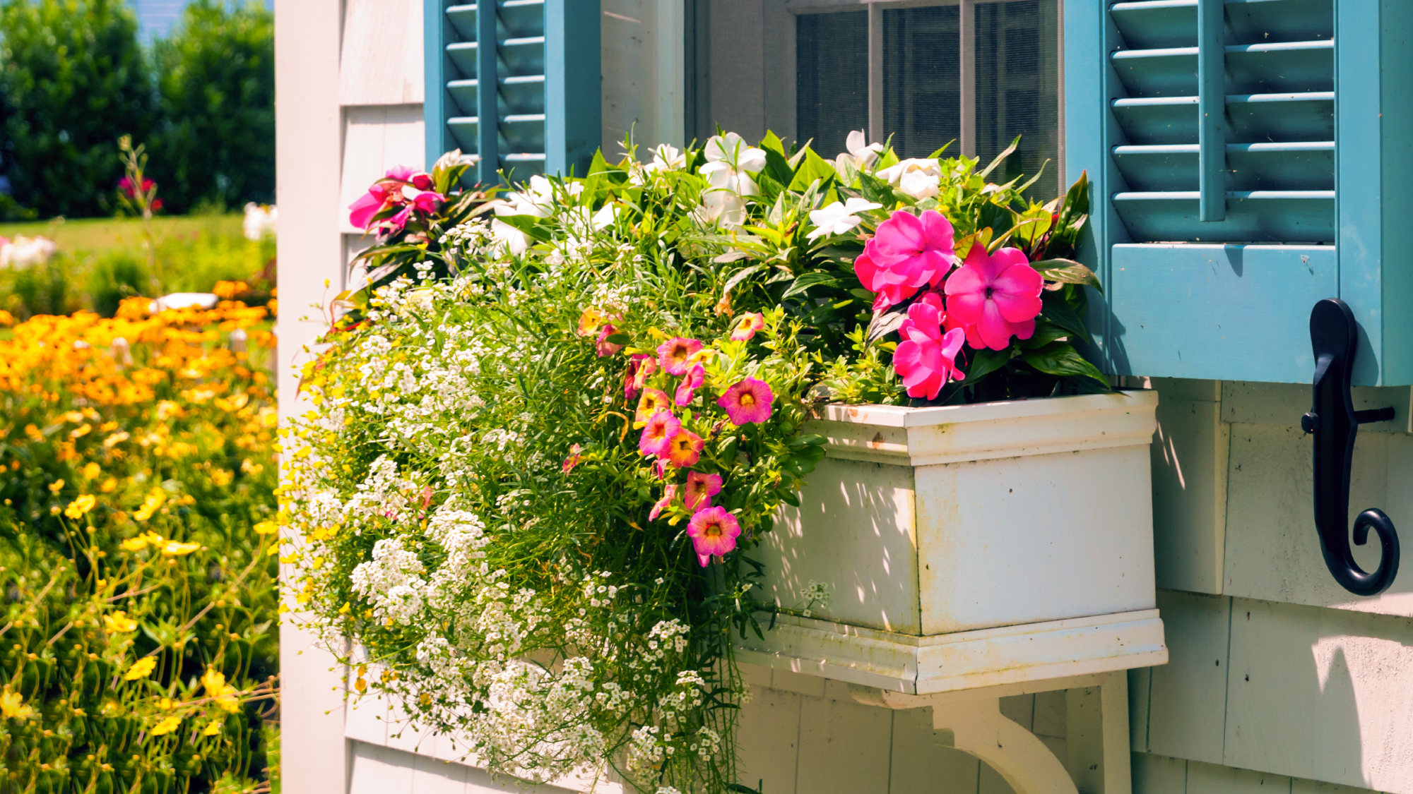 window box full of flowers on a white house