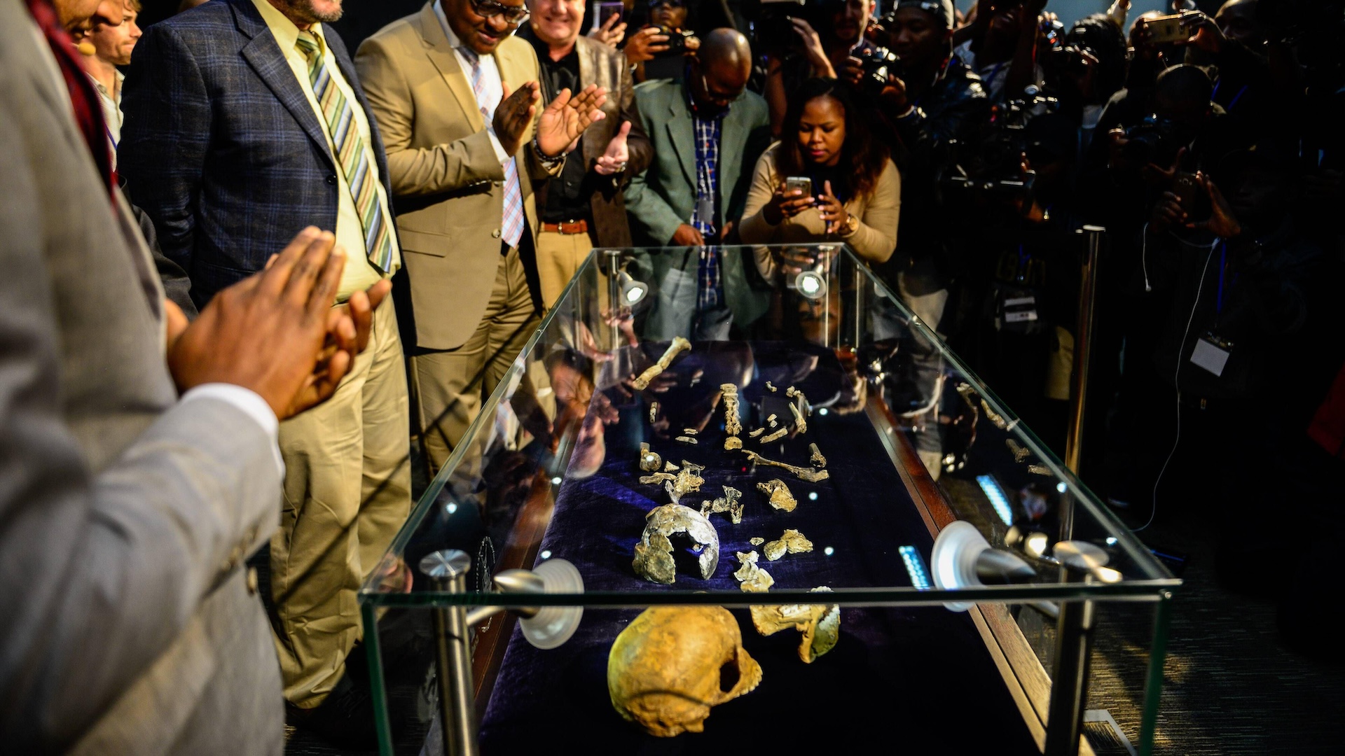 A group of people gathered around bones in a glass display case