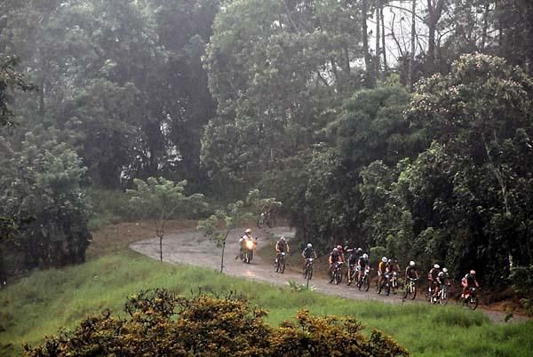 A tight pack of favorites races at top speed.