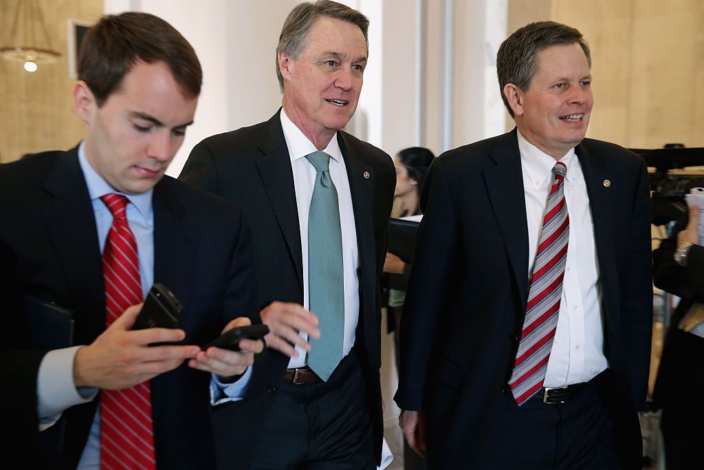 Sen. David Perdue and Sen. Steve Daines.