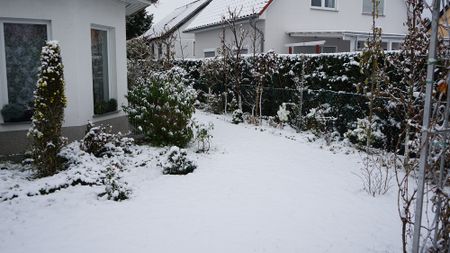 Snow in backyard in winter
