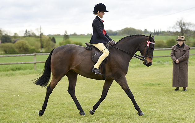 BSPS Area 15 show 22.04.2017