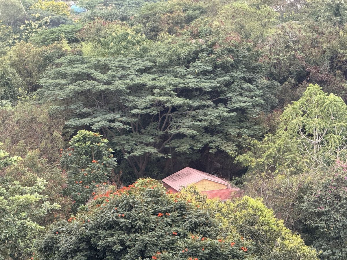 iPhone 15 Pro camera shots