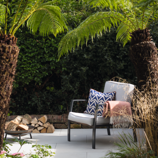 A firepit under a tropical tree, with a garden chair sat close by (taken by Alasdair Mcintosh)