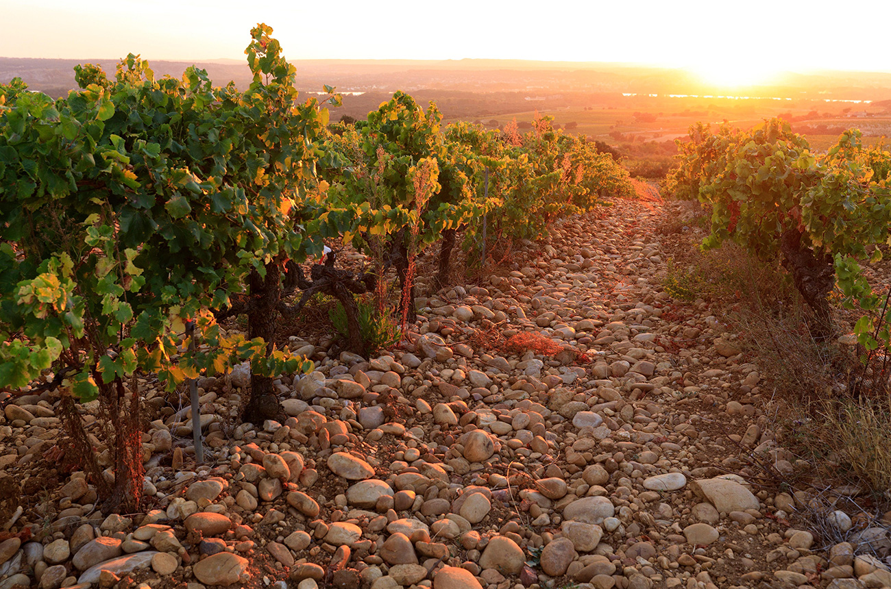 Ch&acirc;teauneuf-du-Pape 2021