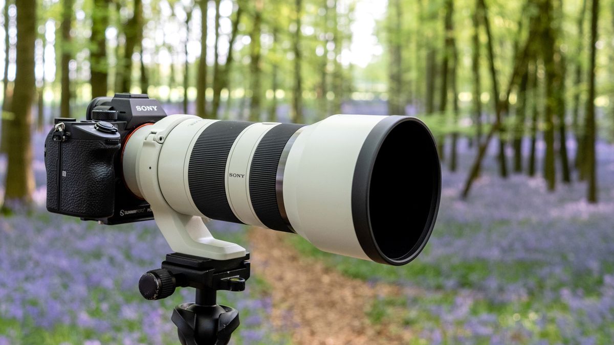 Choosing the best lenses for landscape photography TechRadar