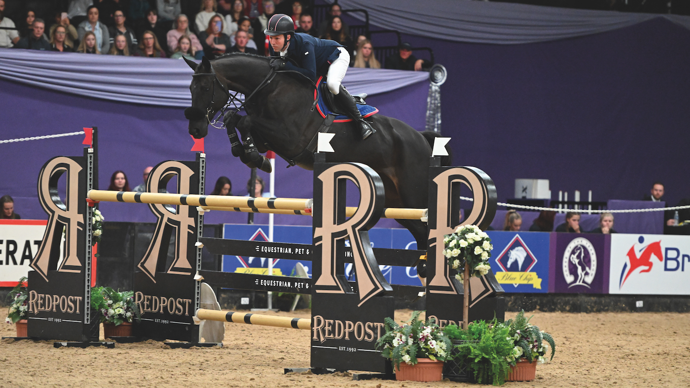 Dillinger at Horse of the Year Show, black horse