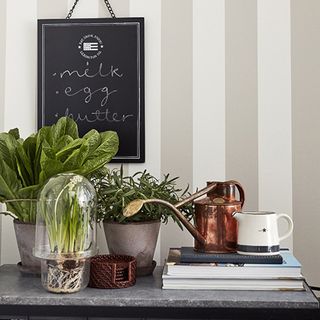 potted plants with wallpaper on wall and teapot