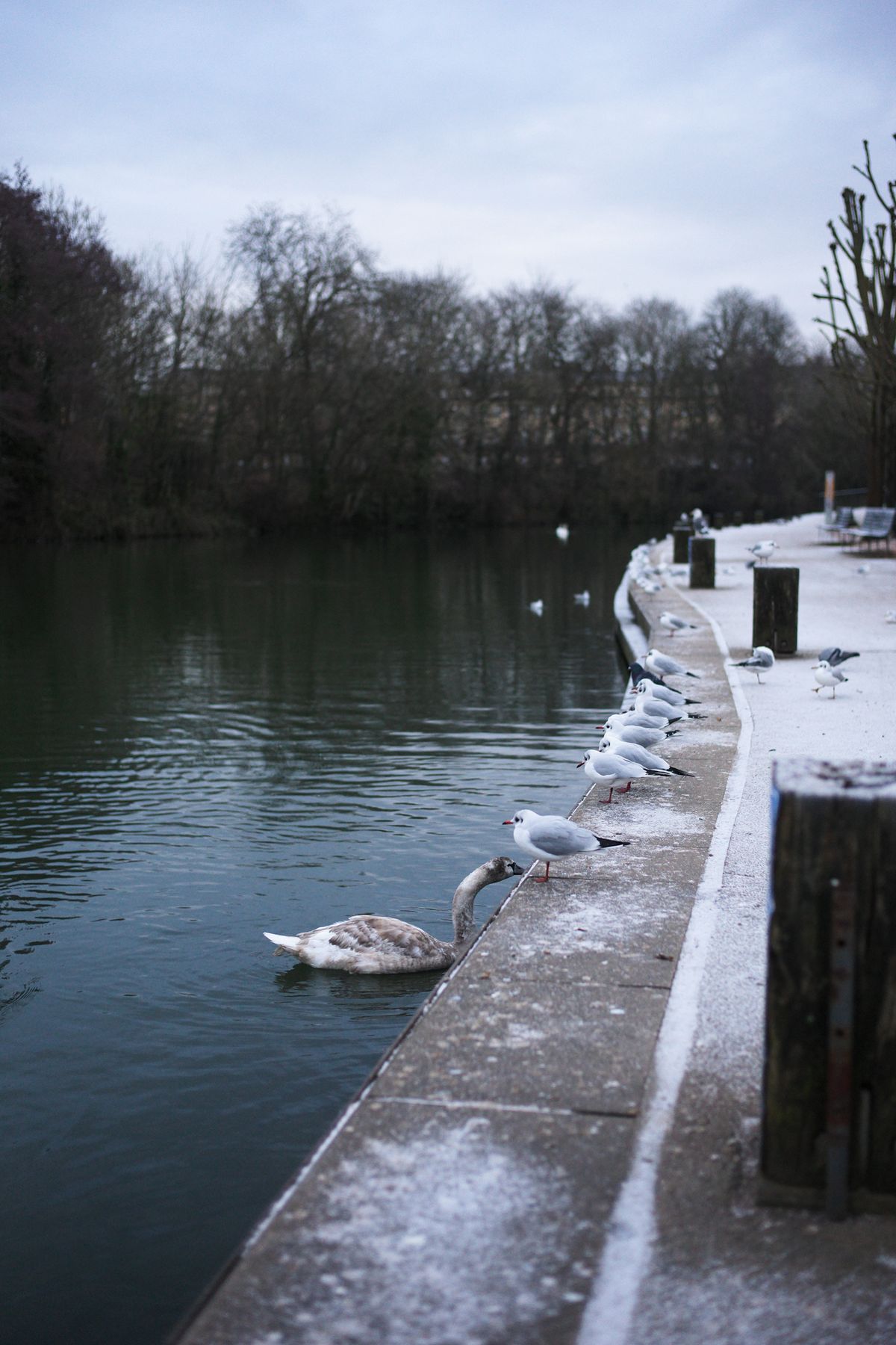 A photo taken on a Leica M EV1 camera