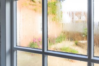 windows with condensation
