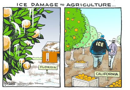 Political cartoon U.S. ICE immigration deportation DACA Dreamers California agriculture