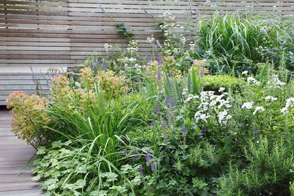 Annaick Guitteny How to choose plants for your modern garden