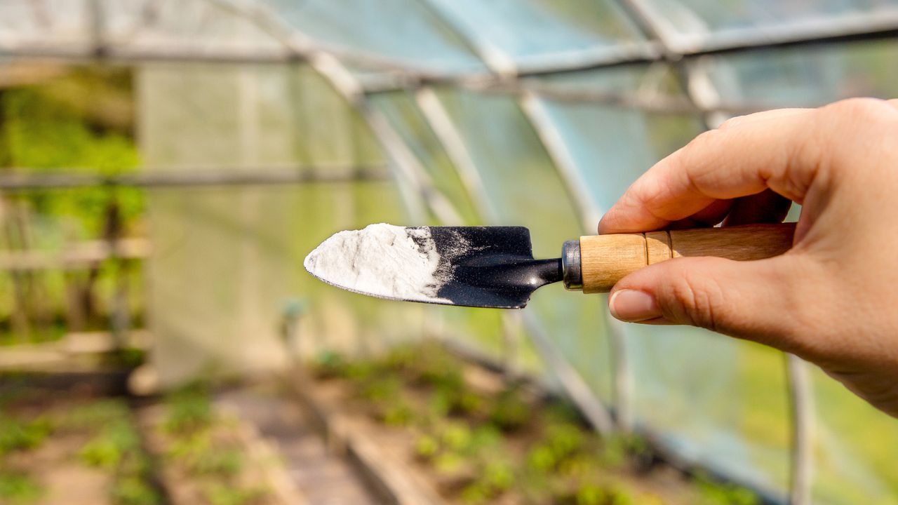 Baking soda on a trowel