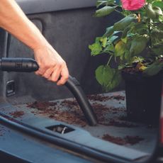 Person vacuuming boot of car with plant pot and spilt soil