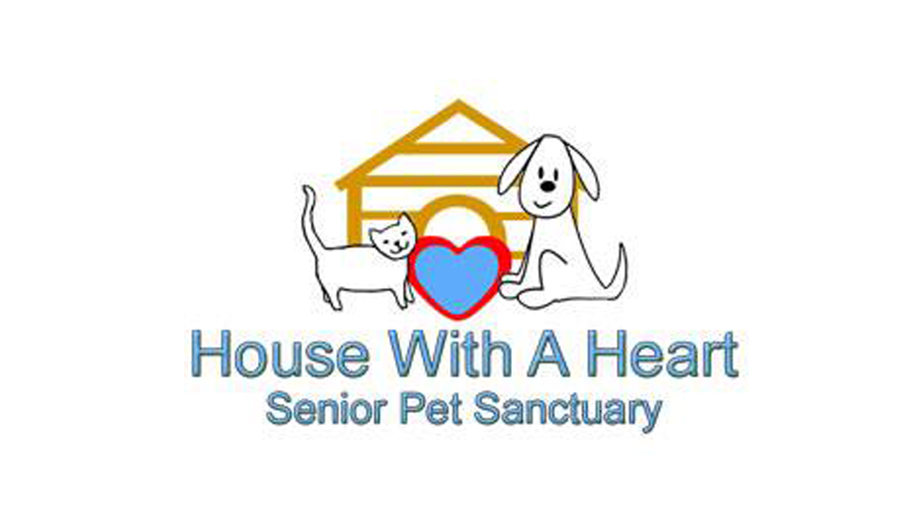 Best pet charities to support today | PetsRadar