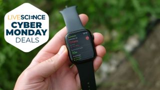 Apple watches best sale cyber monday