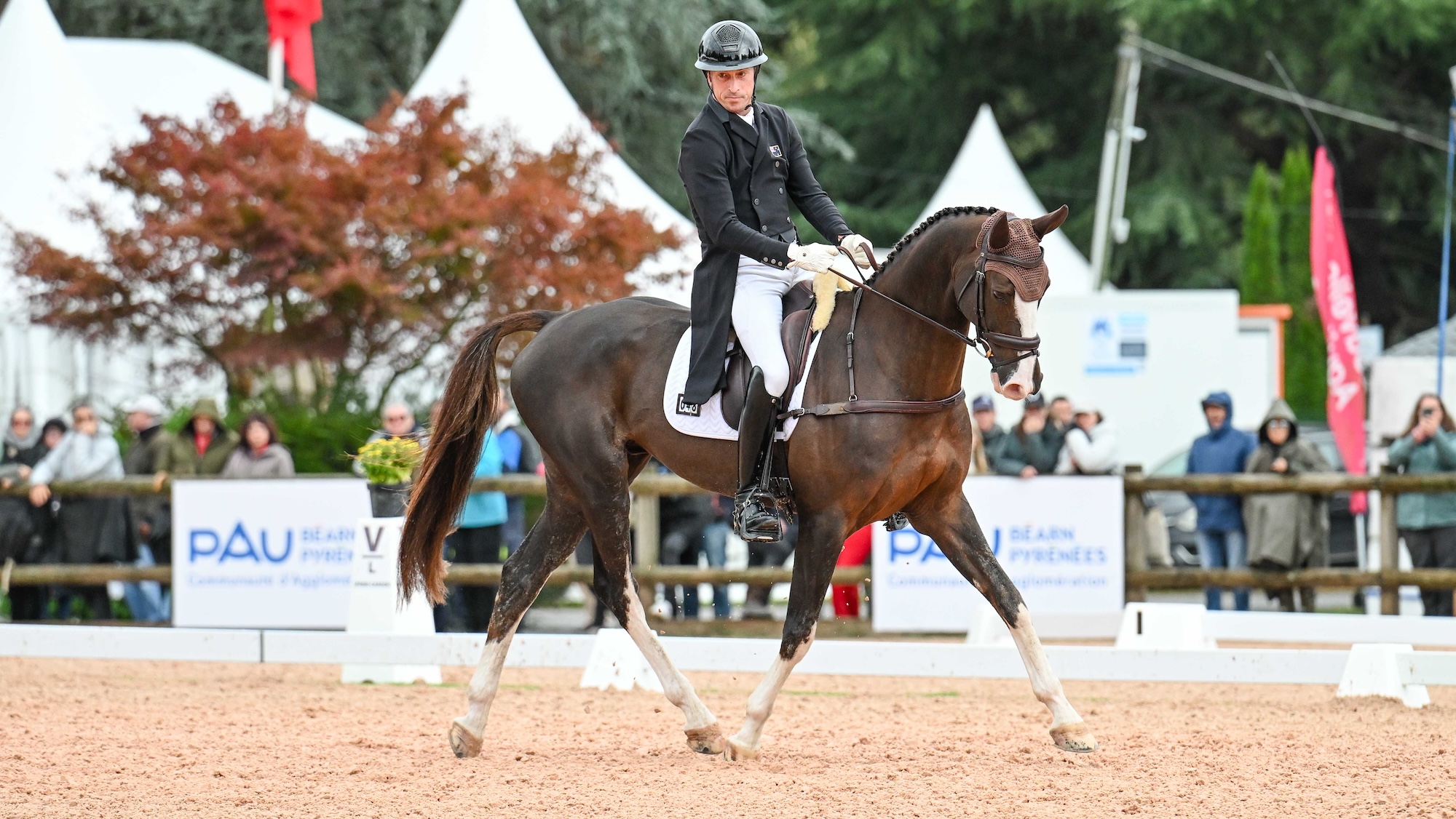 Tim Price and Jarillo, second in the Pau Horse Trials dressage results