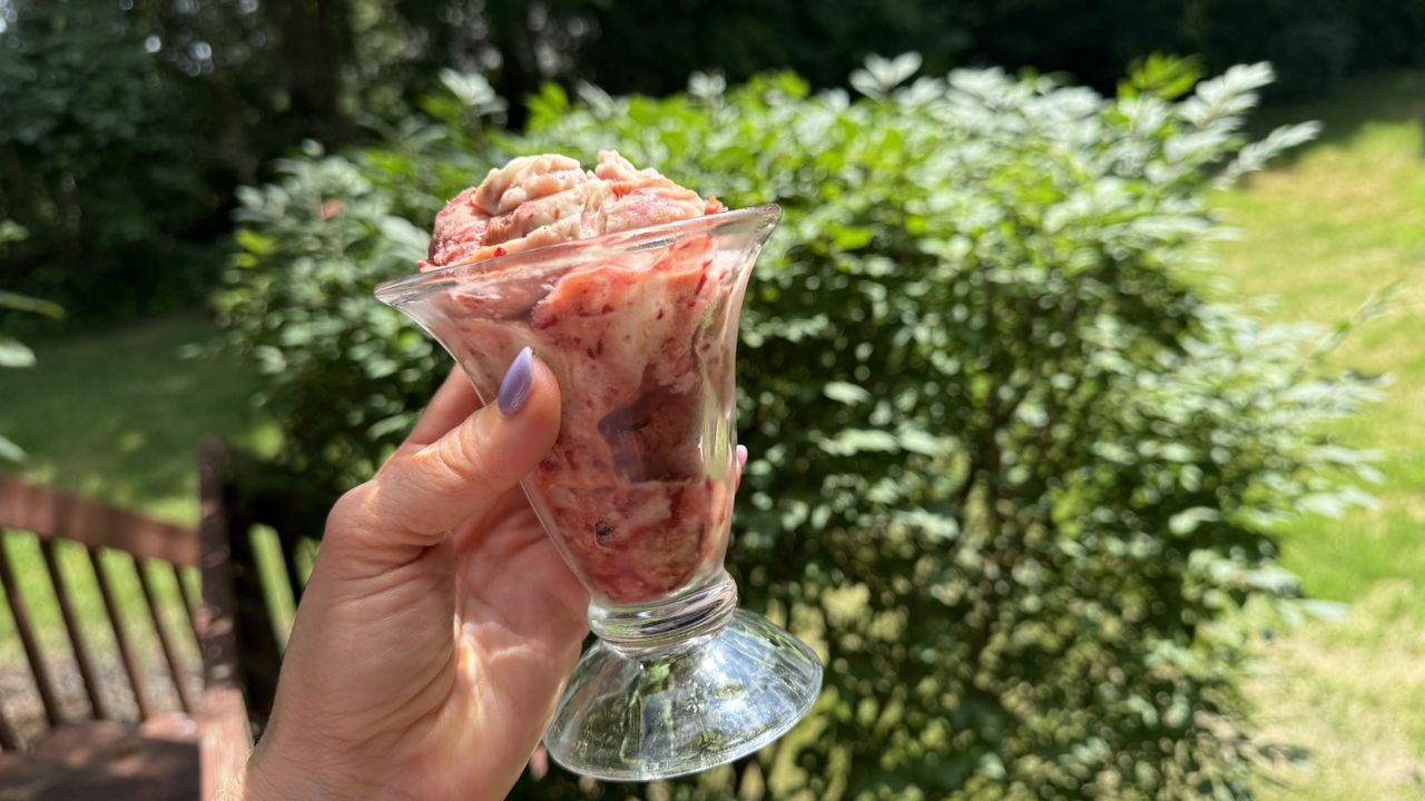 Kuvings Hands-Free Slow Juicer AUTO10 Plus sorbet in hand