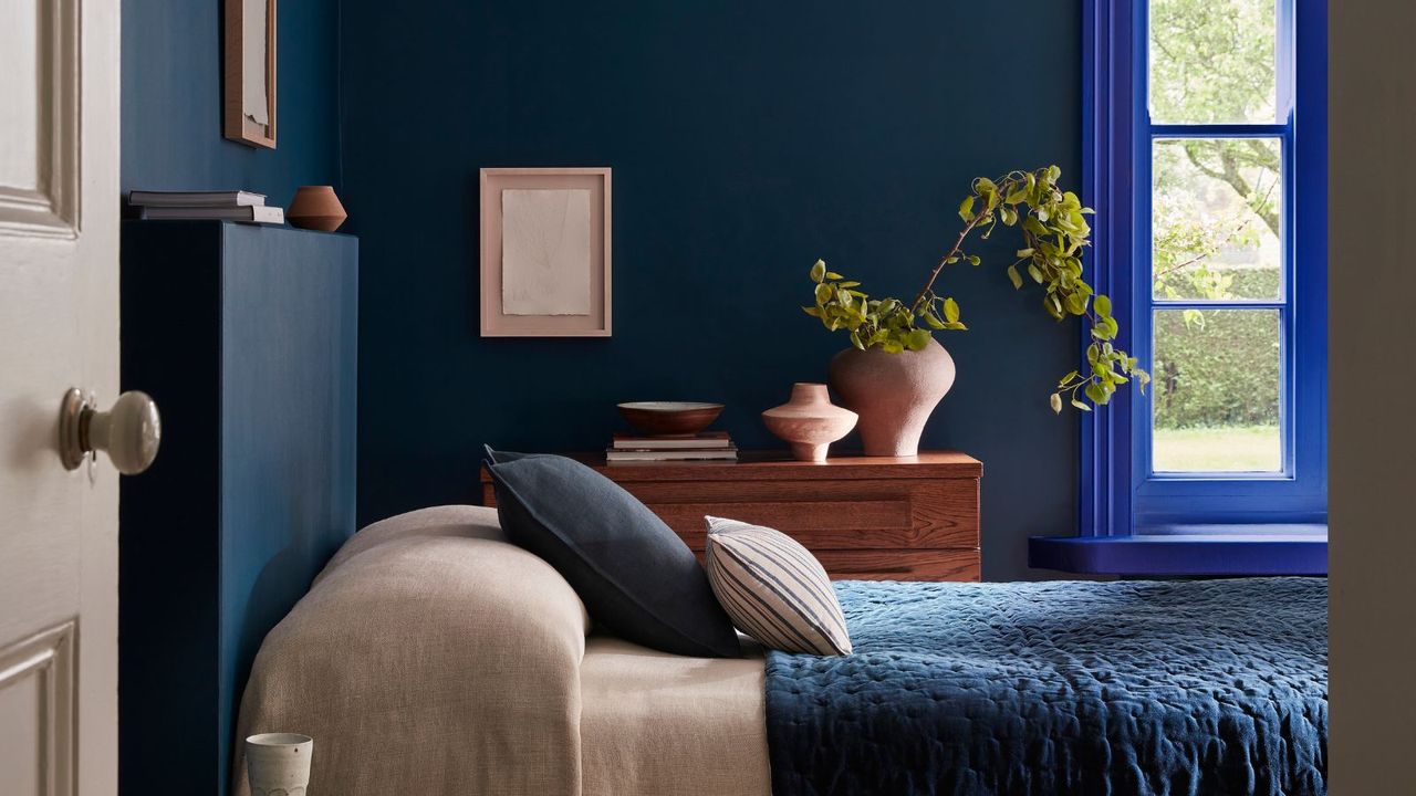 dark blue bedroom with electric blue window trim, cozy neutral and dark blue bedding, wooden dresser with potted plant