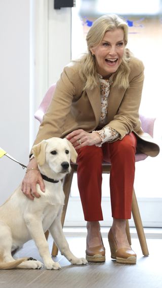 Sophie, Duchess of Edinburgh takes part in a puppy class at the Guide Dogs for the Blind Association Training Centre