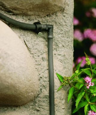A thin black pipe attached onto a gray stone wall with a large rock to the left of it and pink flowers and green leaves to the right